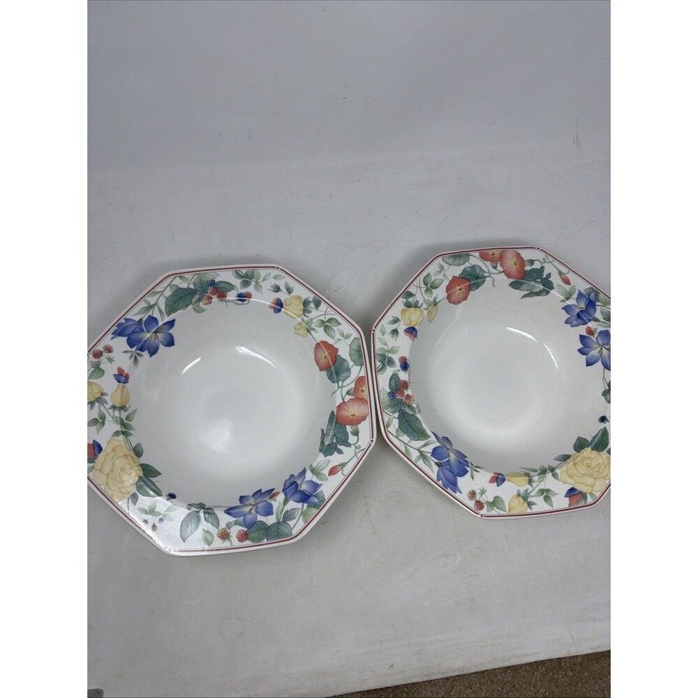 Set of 2 Mikasa Spring Sonata DV010 Large Rimmed Soup / Pasta Bowl 9"